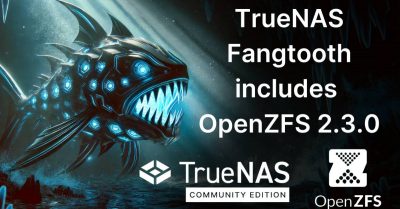 TrueNAS Delivers Record Growth in 2024, Plans Strategic Expansions in 2025
